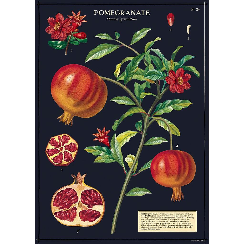 Juliste Granaattiomena