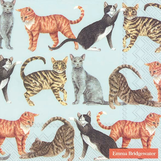 Lautasliina Cats 33 cm